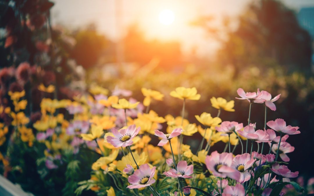 Is God still good, even when life is not?
