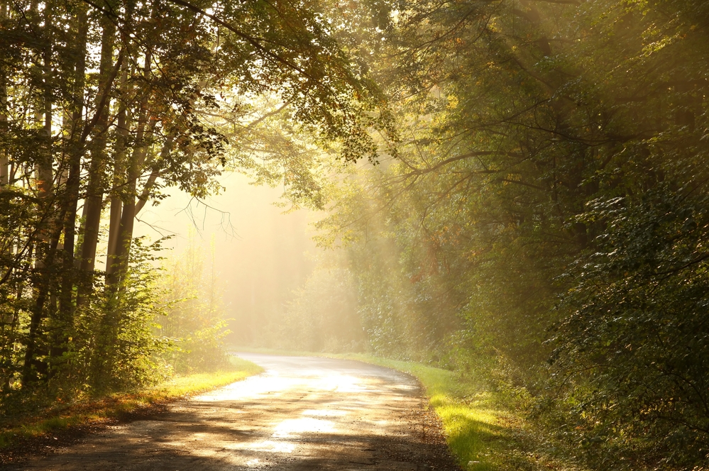 Mercies in Times of Grief