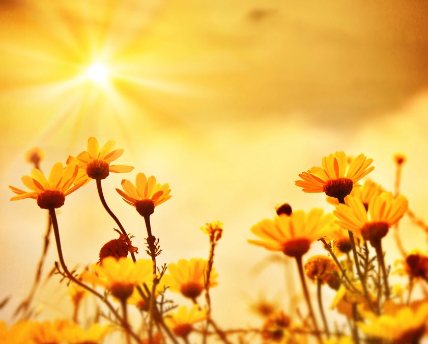 Finding Hope: Answering the Question “Is My Child in Heaven?”